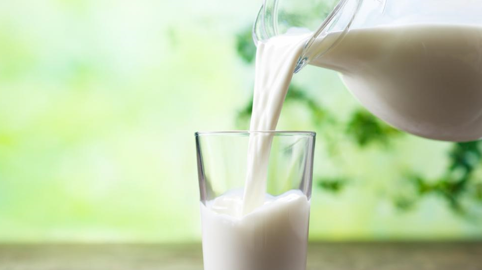 Gir Cow A2 MIlk in Gandhainagar 